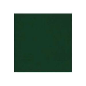 Revestimento 1060 Bold Brilhante Verde 10x10cm 1,95m2