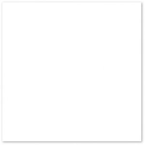 Piso Branco Neve Bold Acetinado Branco 44x44cm 2,50m2